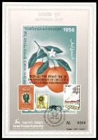 דף מזכרת 72a כרמל, 20 שנה לאגודת הדרי נגב-לכיש, ישראל 1990